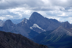 Birdwood from Buller