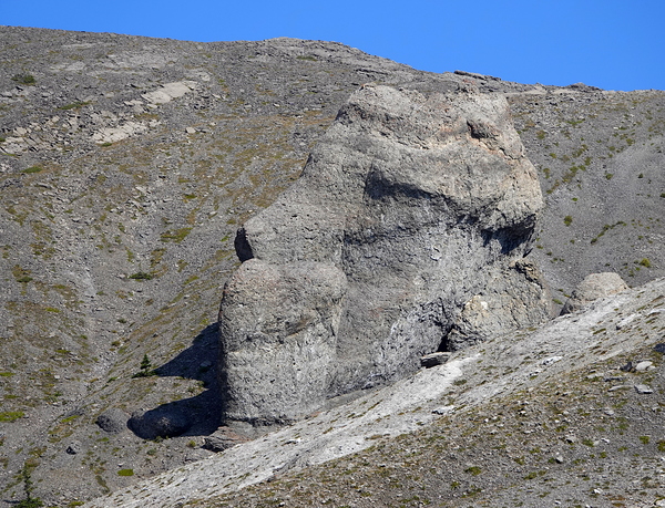 Lost Moai by Danilov Alpine Works