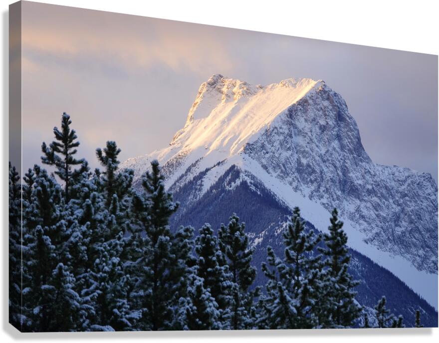 The Wedge Canvas Print