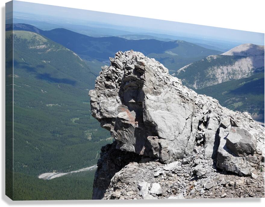 The Garriochmill Oracle Accuracy Not Guaranteed Canvas Print