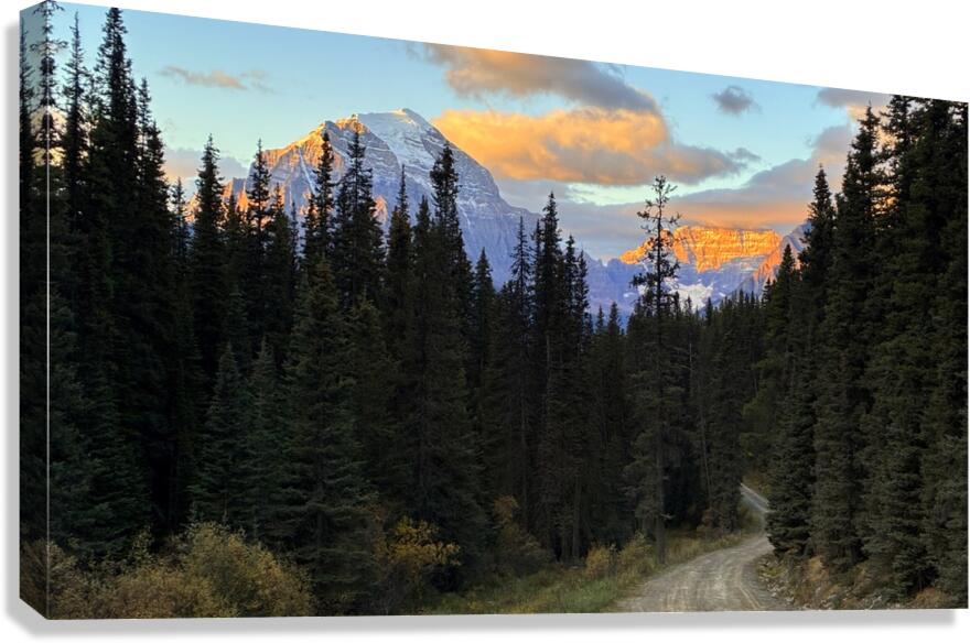 Temple and Hungabee Mountains alpenglow Canvas Print