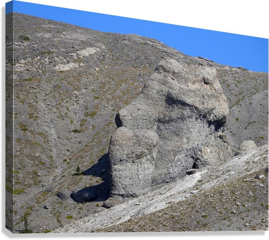 Lost Moai Canvas Print