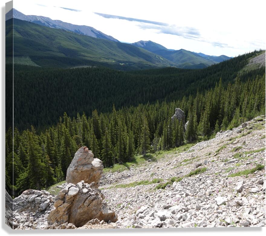 Broken Sentinels Canvas Print