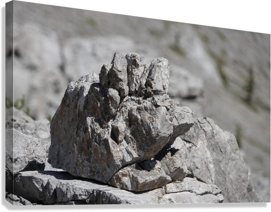 Grumpy Garriochmill Canvas Print