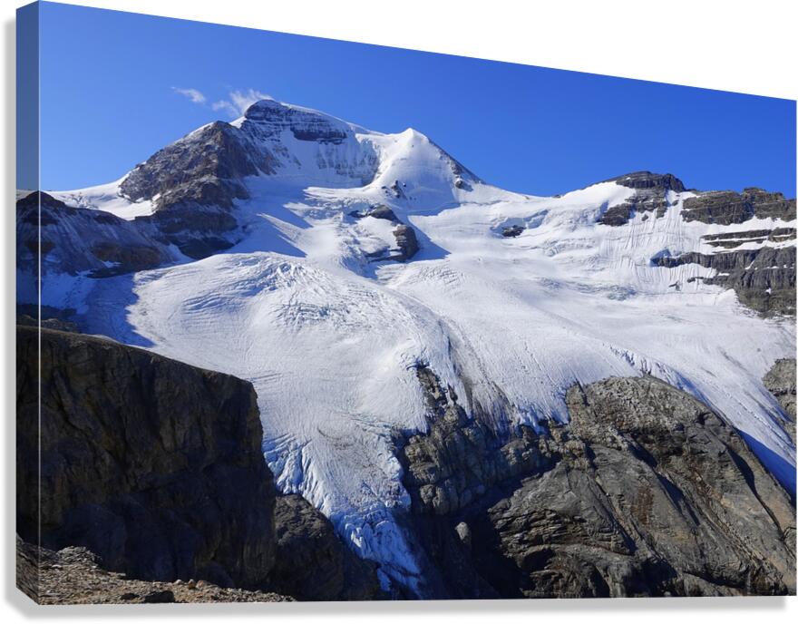 Mount Athabaska Canvas Print