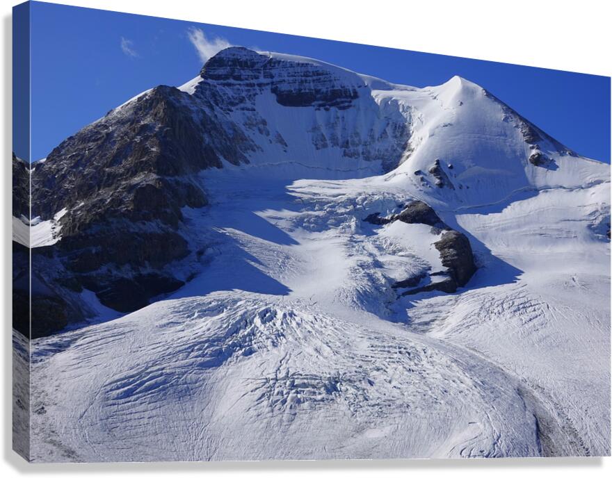 Mount Athabaska and Athabaska Glacier Canvas Print