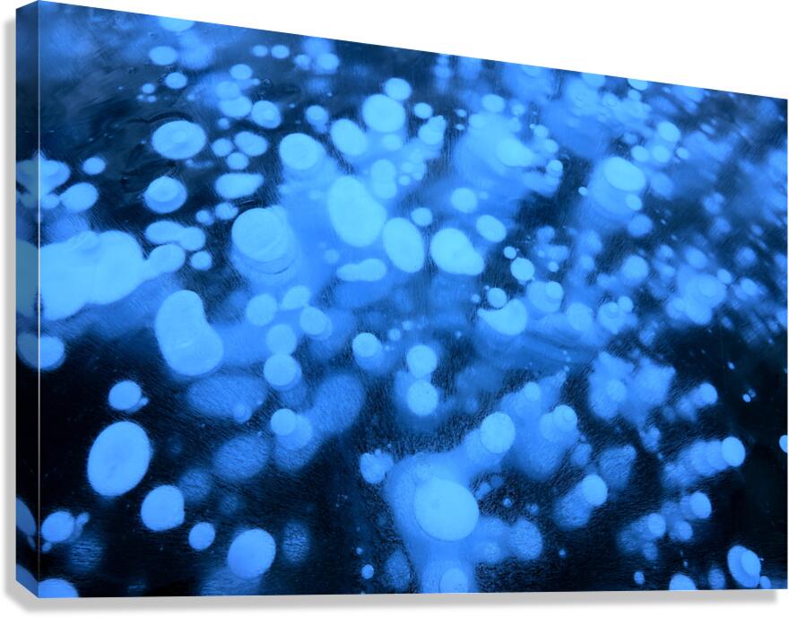 Methane Bubbles on Abraham Lake Canvas Print