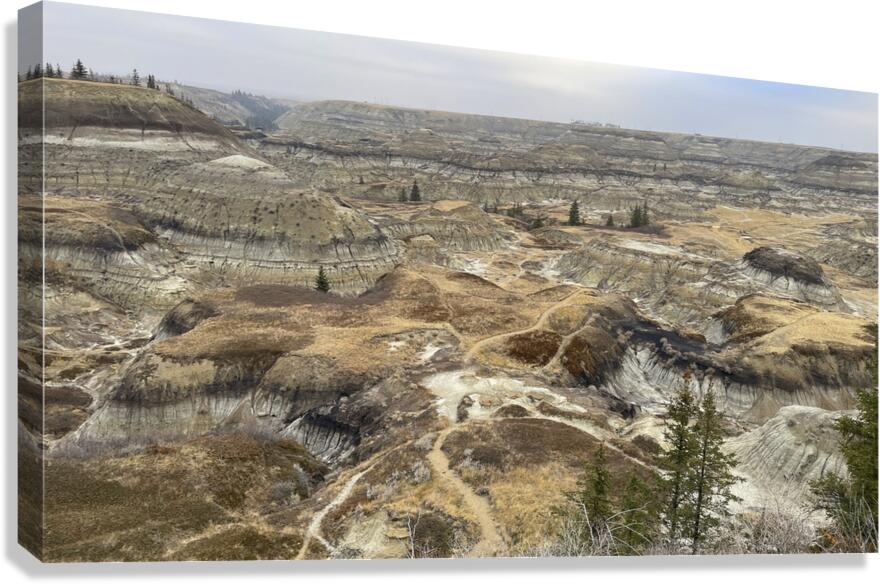 Badlands Labyrinth Canvas Print
