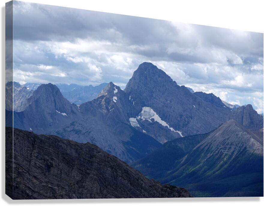 Birdwood from Buller Canvas Print