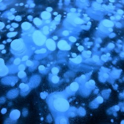 Methane Bubbles on Abraham Lake