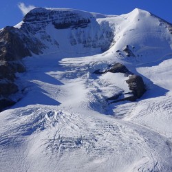 Mount Athabaska and Athabaska Glacier