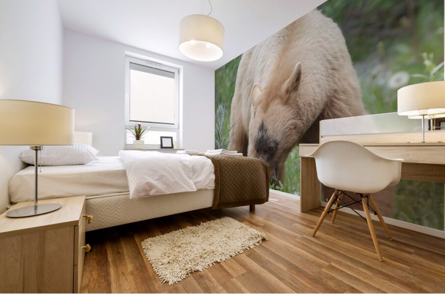 American Black Bear Mural print