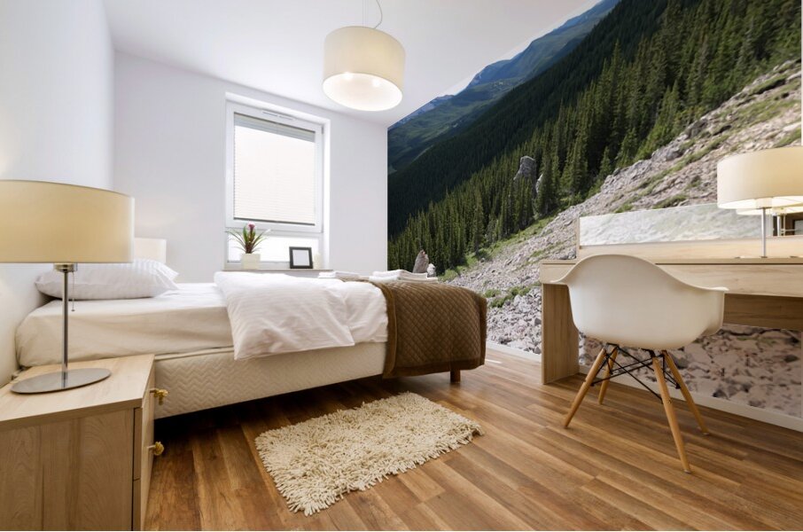 Broken Sentinels Mural print