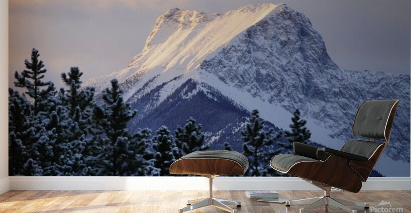 The Wedge Wall Murals