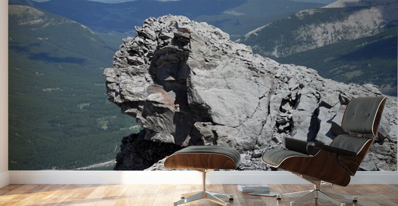 The Garriochmill Oracle Accuracy Not Guaranteed Wall Murals