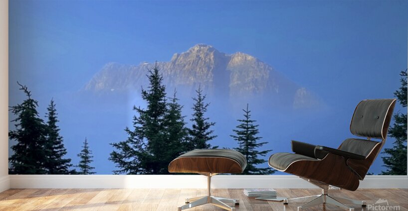 The Floating Ridge Wall Murals
