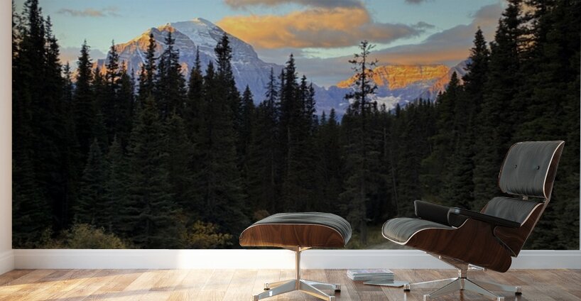 Temple and Hungabee Mountains alpenglow Wall Murals