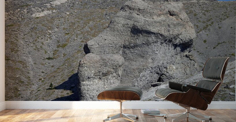 Lost Moai Wall Murals