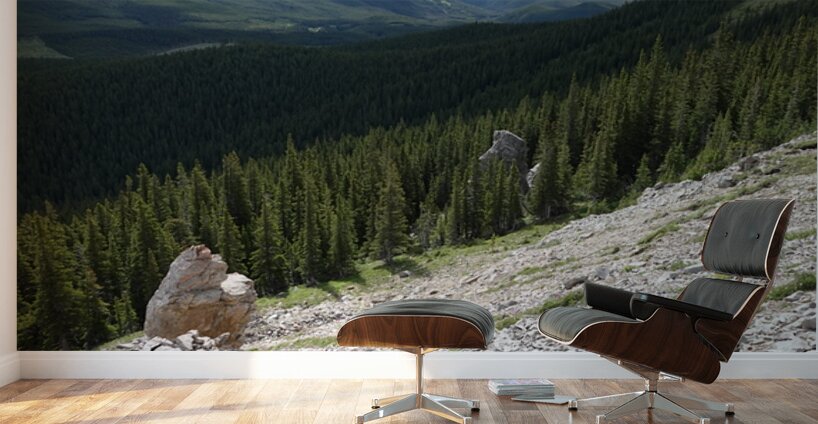 Broken Sentinels Wall Murals