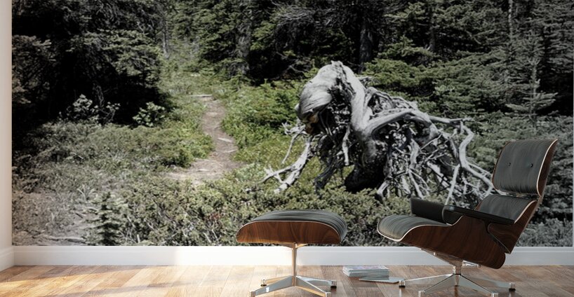 Jimmy Simpson Jr. Wall Murals