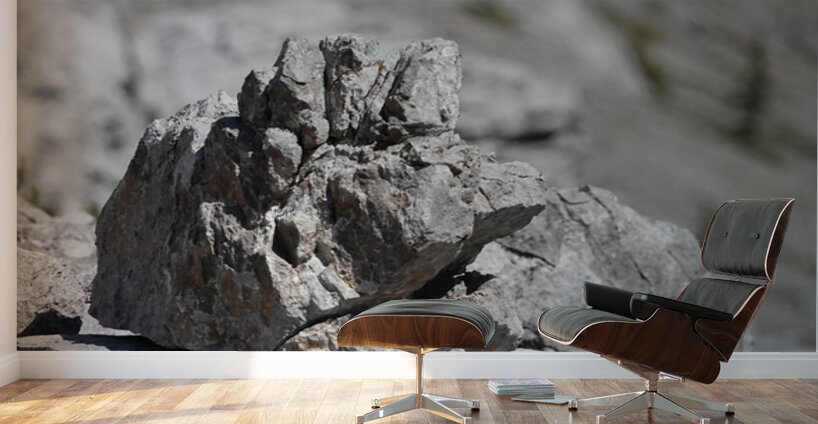 Grumpy Garriochmill Wall Murals