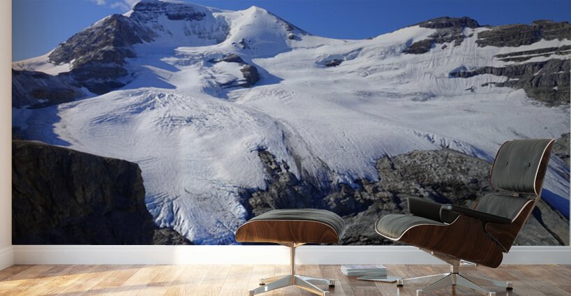 Mount Athabaska Wall Murals