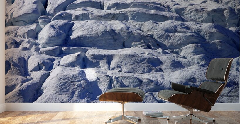 Athabaska Glacier Wall Murals