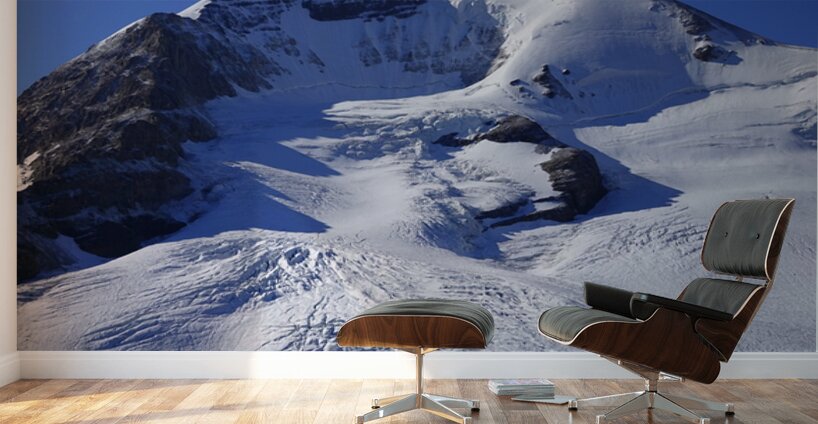 Mount Athabaska and Athabaska Glacier Wall Murals