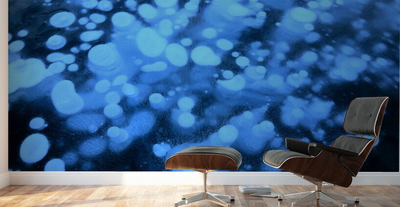 Methane Bubbles on Abraham Lake Wall Murals