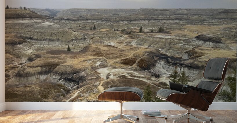 Badlands Labyrinth Wall Murals