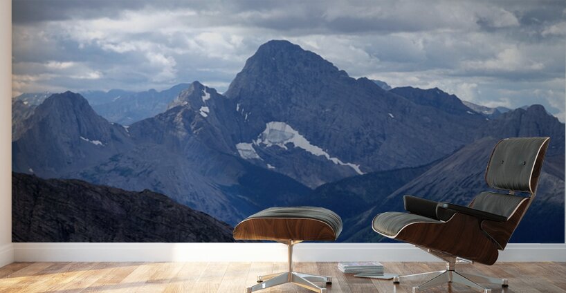 Birdwood from Buller Wall Murals