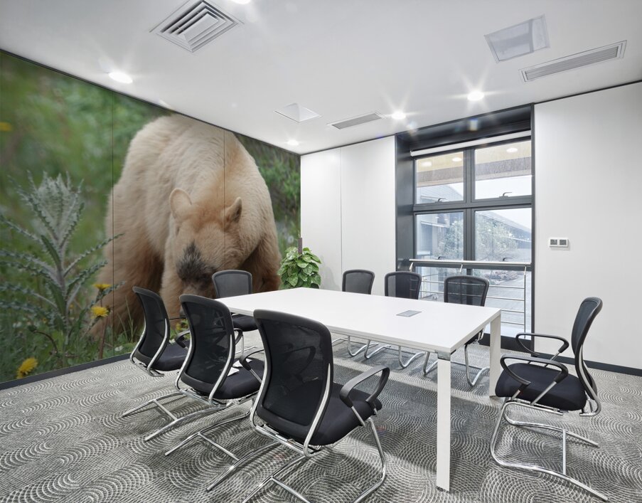 American Black Bear Wall Printing