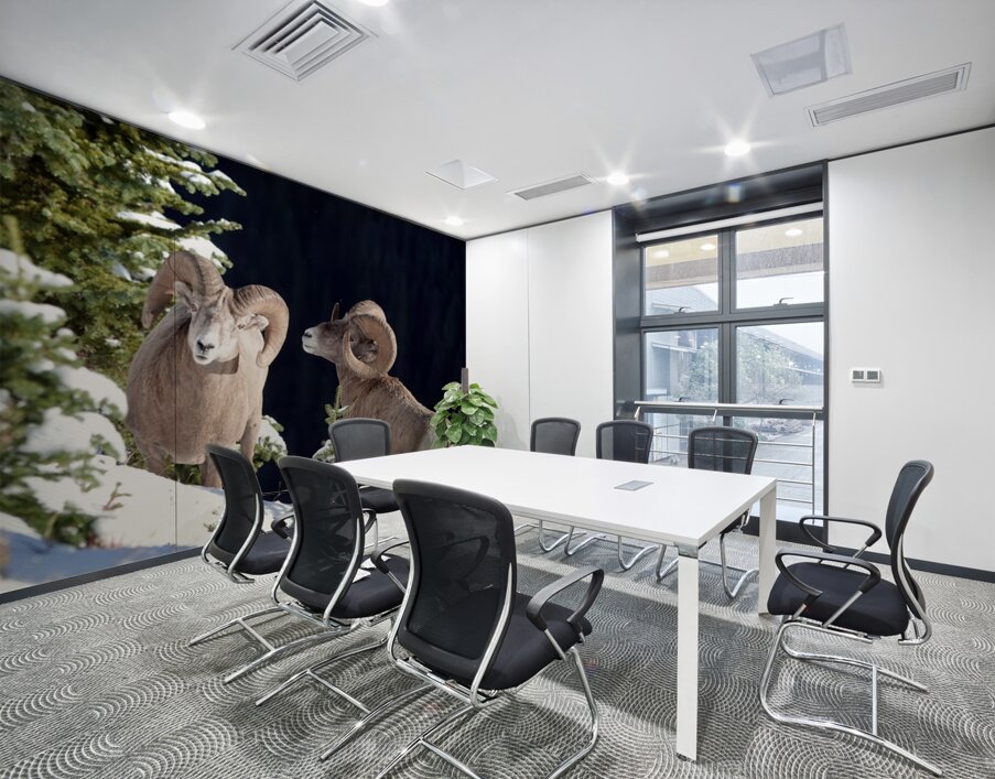 Bighorn ship Wall Printing