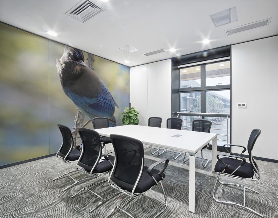 Steller’s Jay Wall Printing