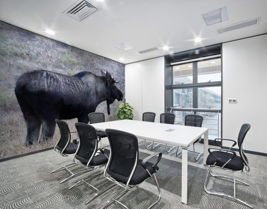 Bull moose Wall Printing