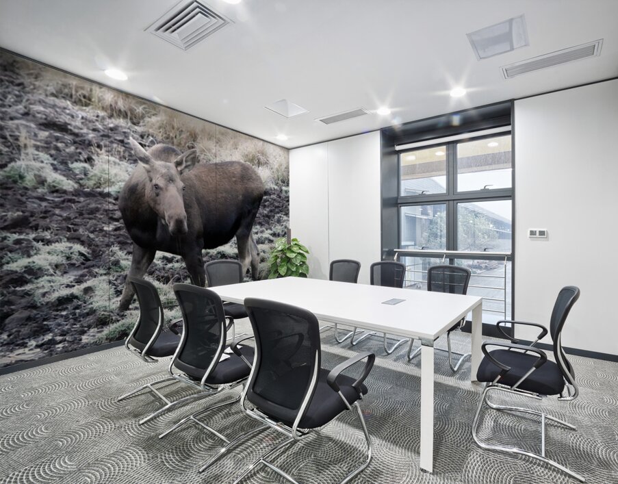 Cow moose 1 Wall Printing