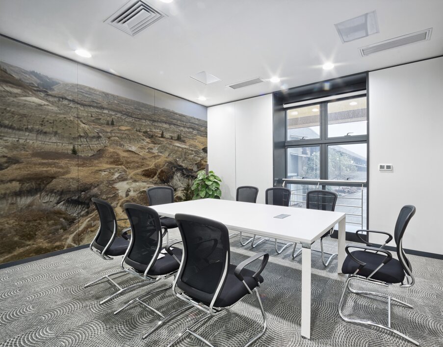 Badlands Labyrinth Wall Printing