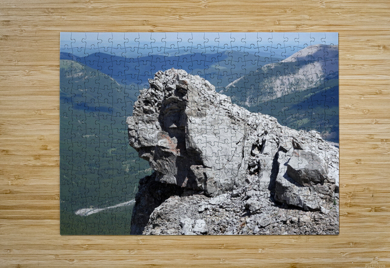 The Garriochmill Oracle Accuracy Not Guaranteed Danilov Alpine Works Puzzle printing