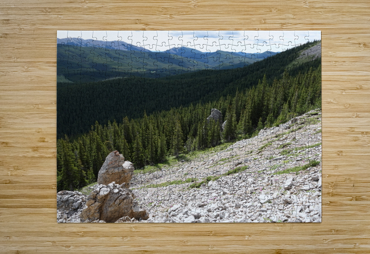 Broken Sentinels Danilov Alpine Works Puzzle printing
