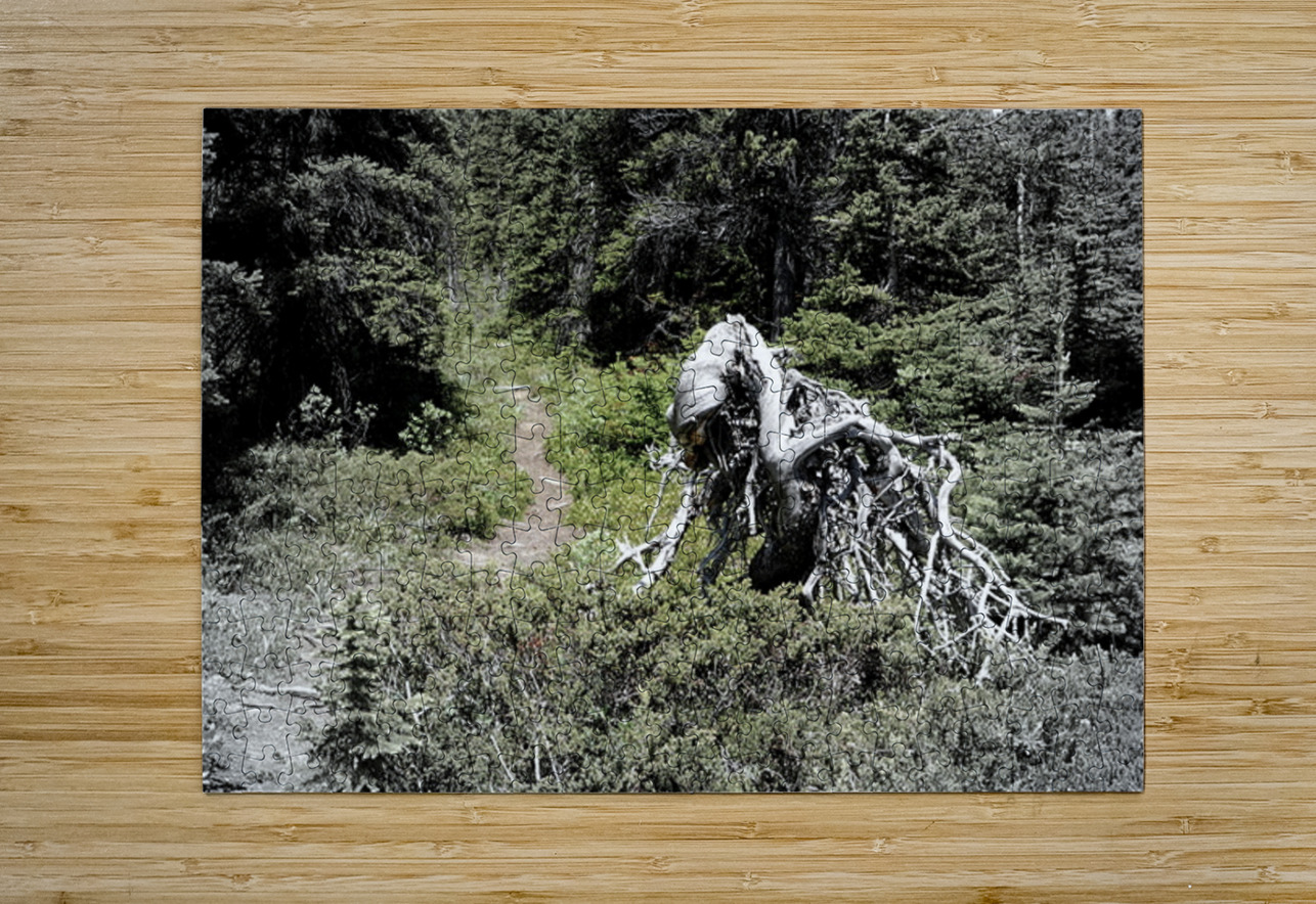 Jimmy Simpson Jr. Danilov Alpine Works Puzzle printing