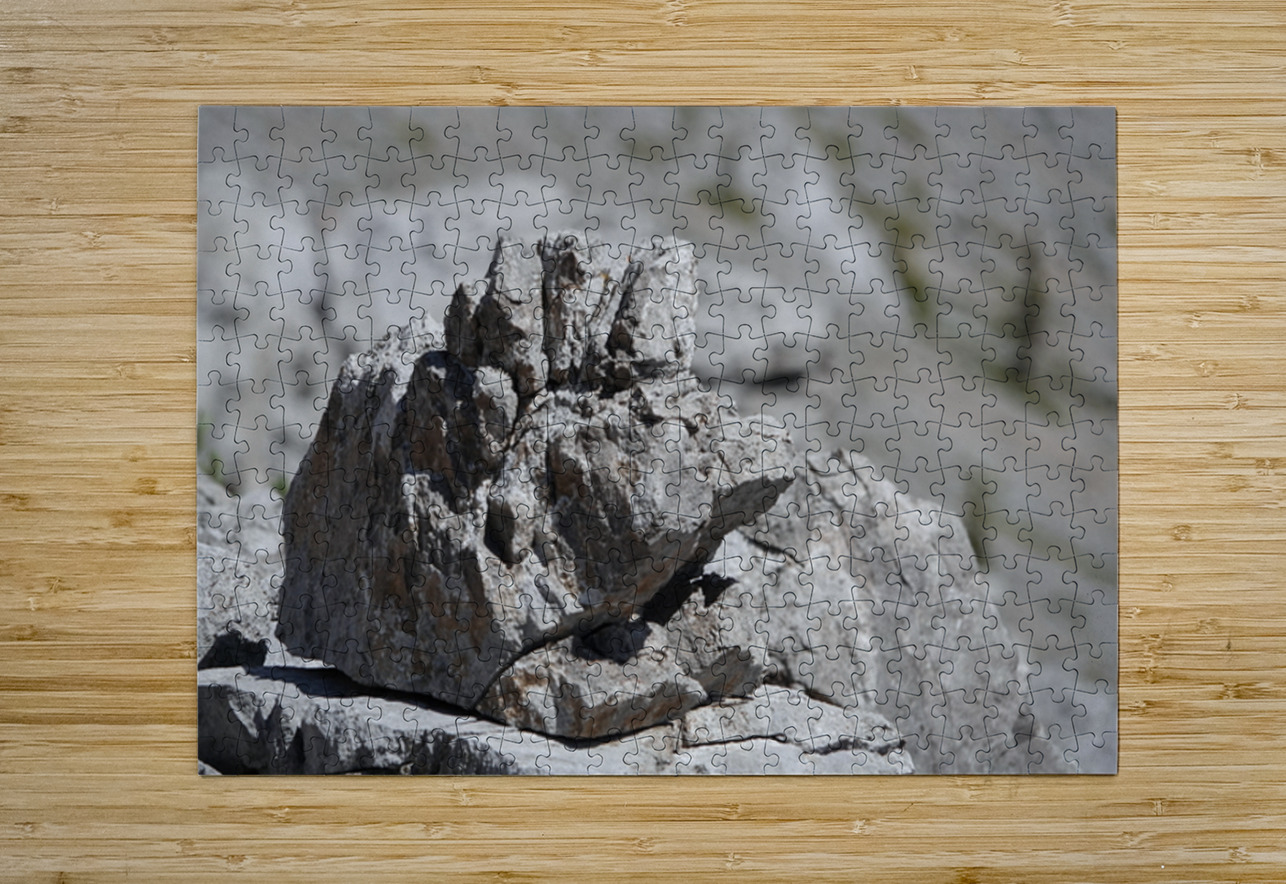 Grumpy Garriochmill Danilov Alpine Works Puzzle printing