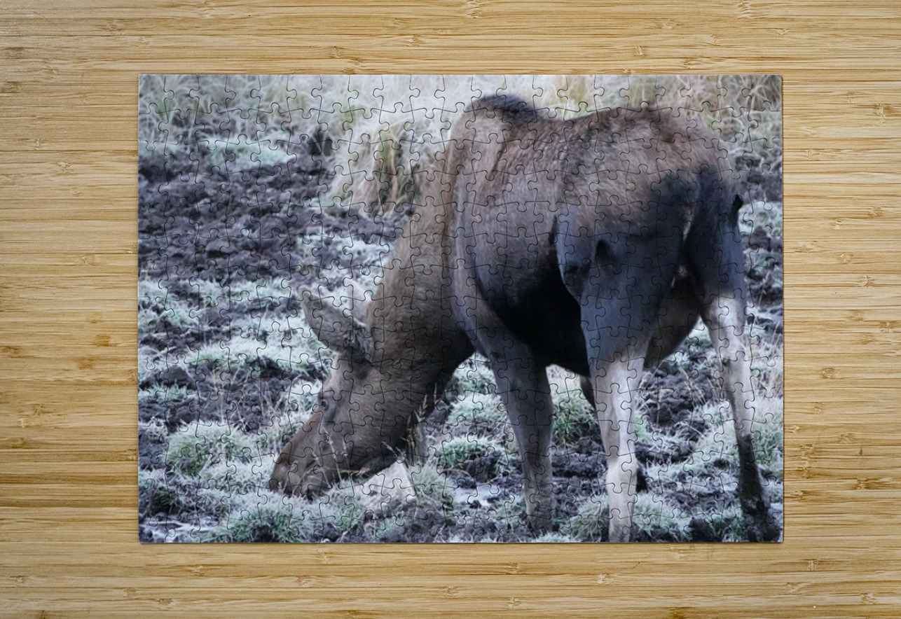 Cow moose 2 Danilov Alpine Works Puzzle printing