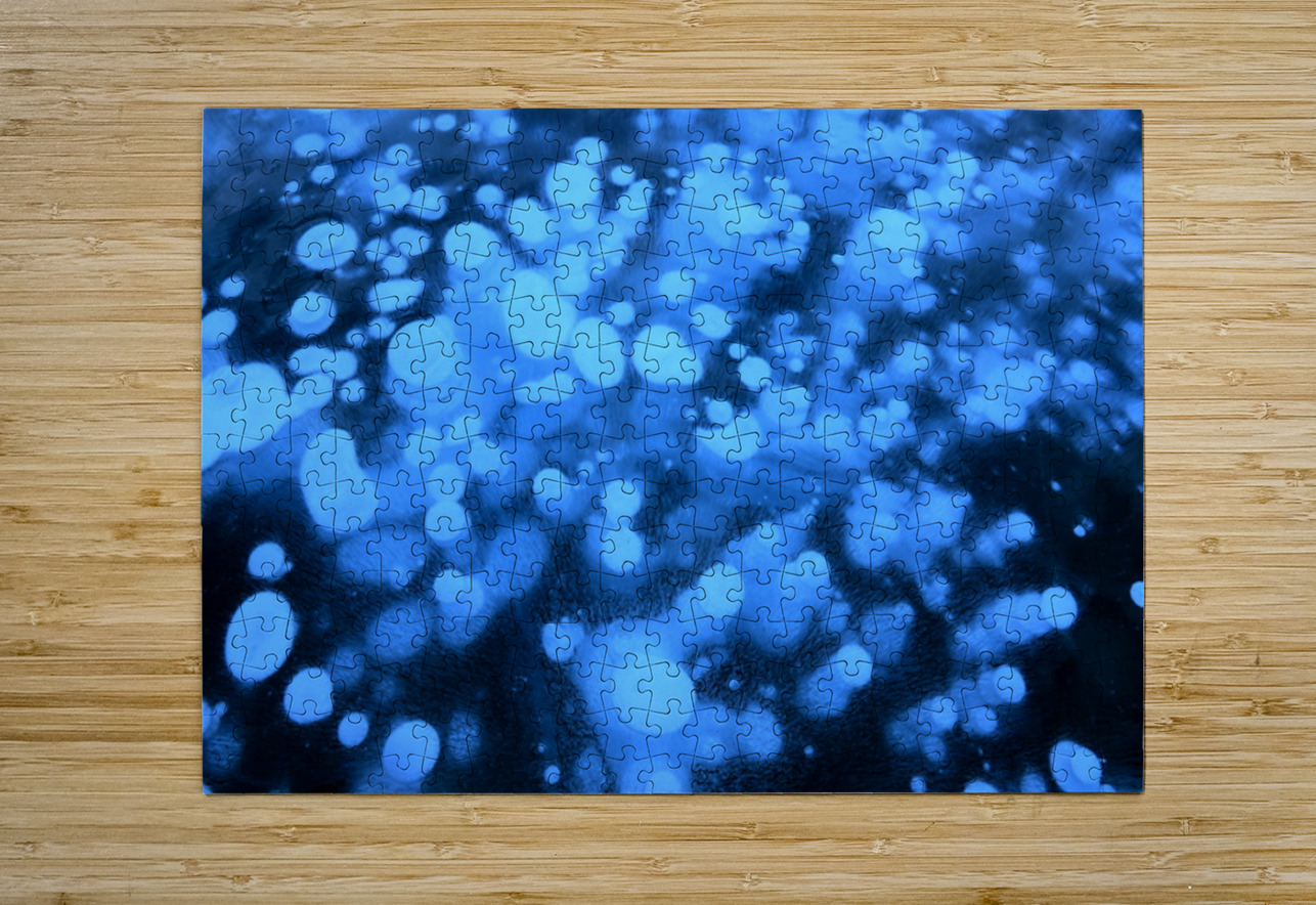 Methane Bubbles on Abraham Lake Danilov Alpine Works Puzzle printing