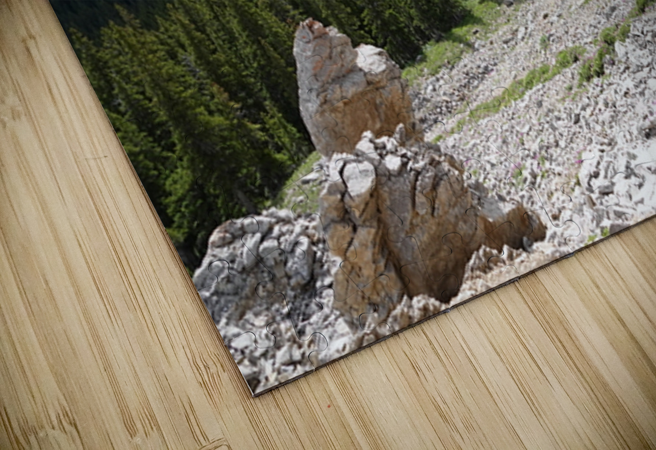 Broken Sentinels Danilov Alpine Works Puzzle