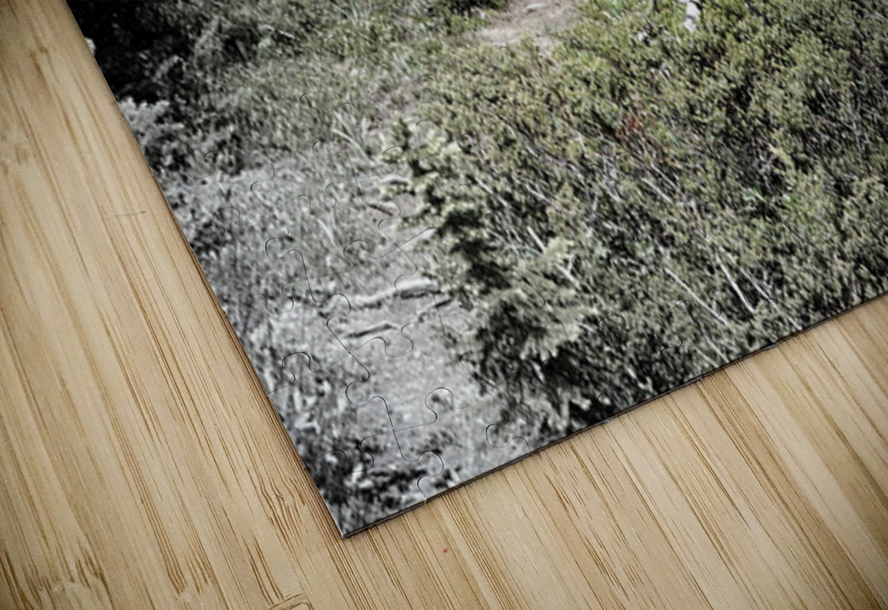 Jimmy Simpson Jr. Danilov Alpine Works Puzzle