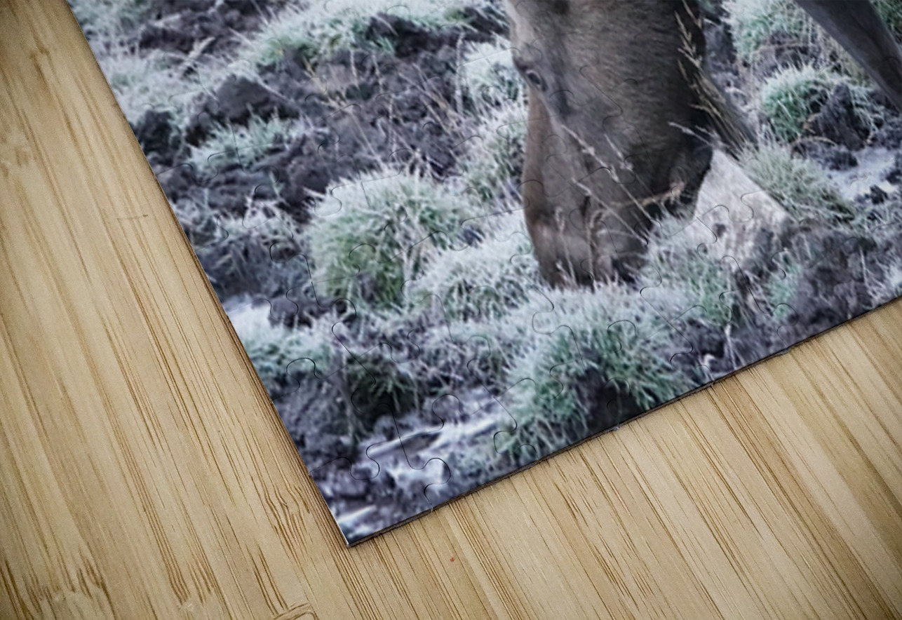 Cow moose 2 Danilov Alpine Works Puzzle