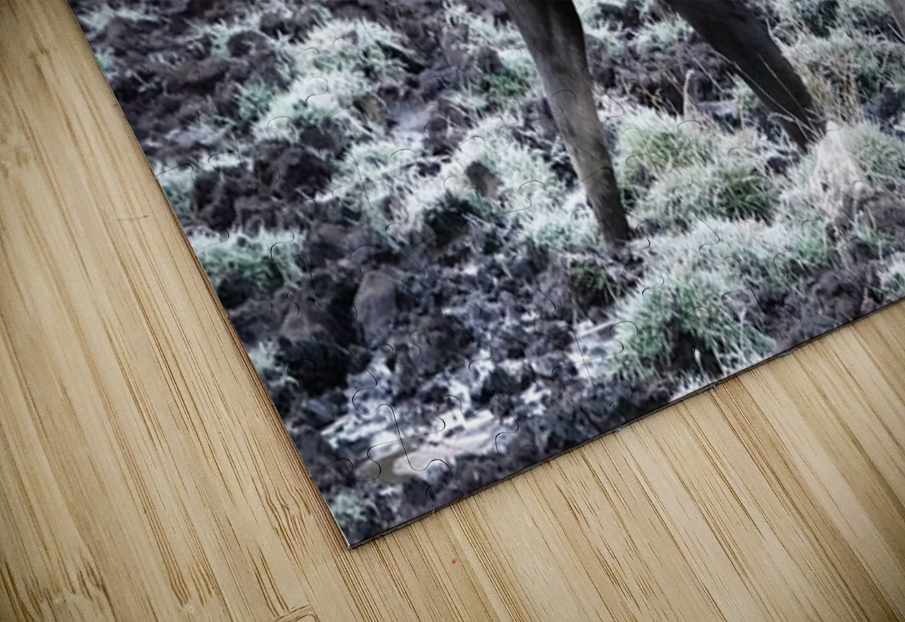 Cow moose 1 Danilov Alpine Works Puzzle