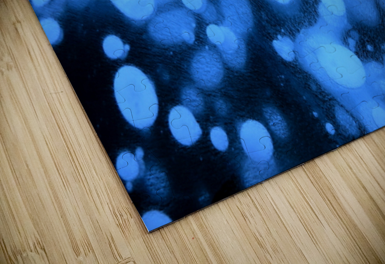 Methane Bubbles on Abraham Lake Danilov Alpine Works Puzzle