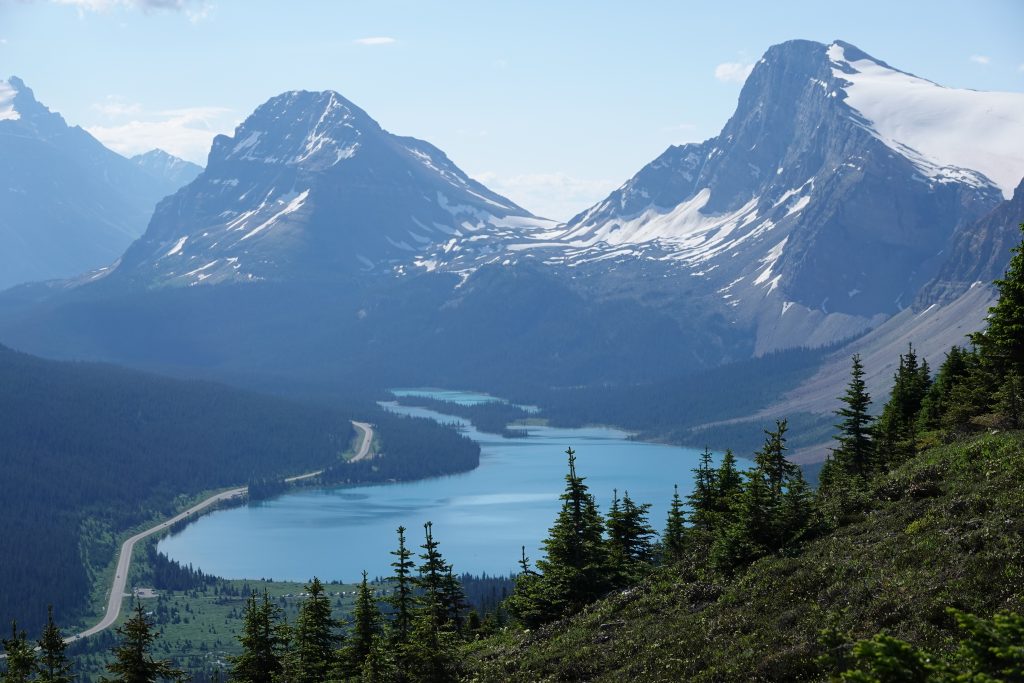 Bow Lake from Peyto Lake's Bow Summit viewpoint trail